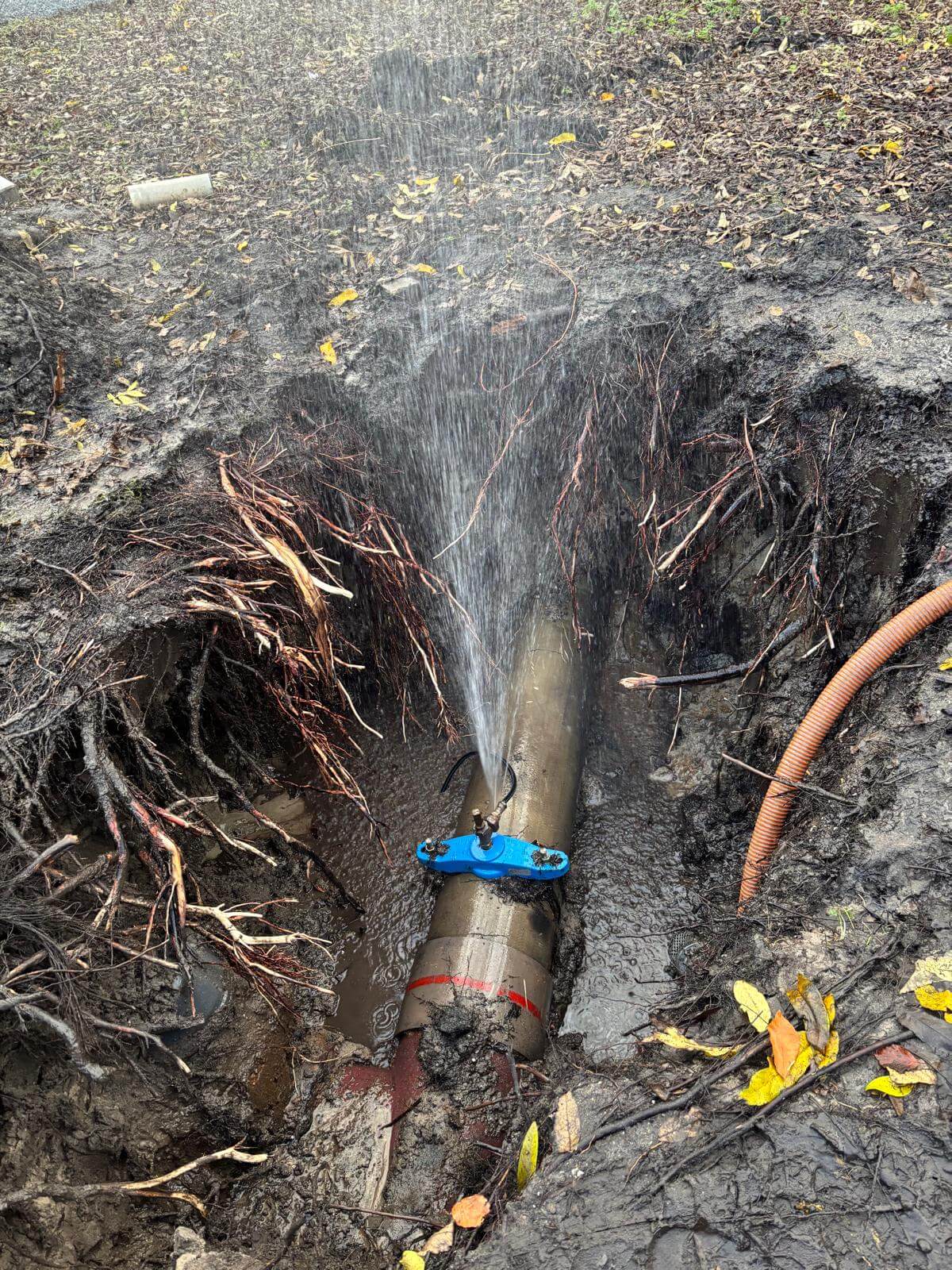 P.S.C.%20Groot%20Dienstverlening%20klus%203%20foto%201